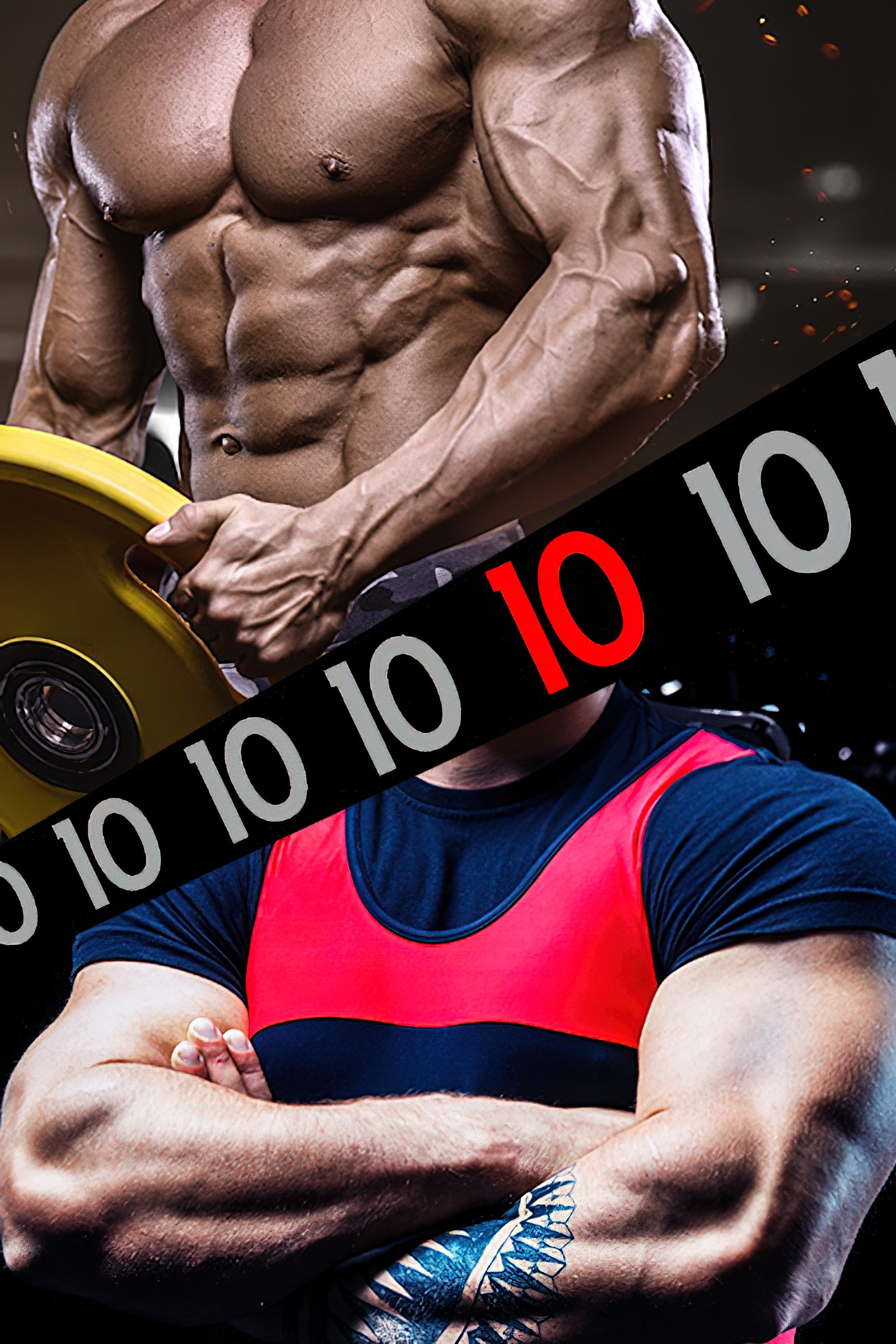 10 Gründe dafür, dass Bodybuilder muskulöser als Powerlifter sind