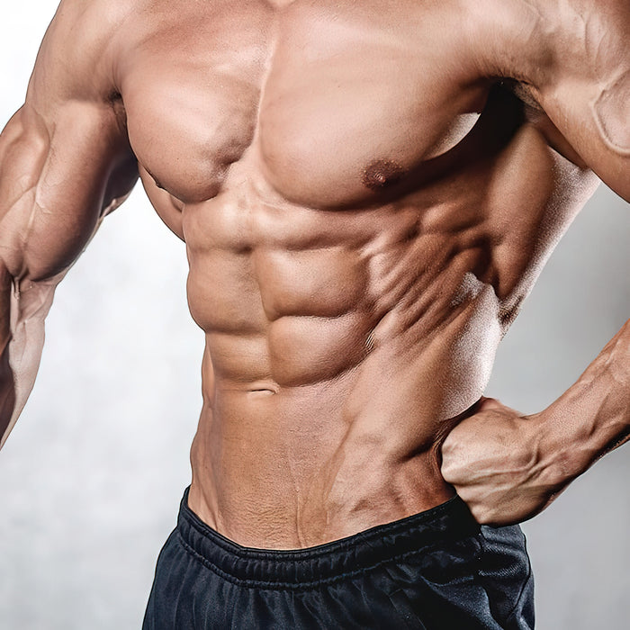 Der beste Weg Muskeln aufzubauen ohne fett zu werden