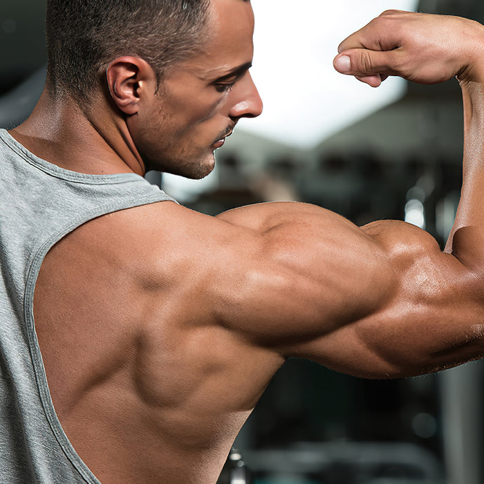 Wie Du für ein Non-Stop Muskelwachstum trainierst