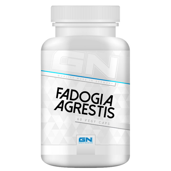 Fadogia Agrestis · 60 Kapseln